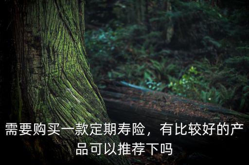 需要購買一款定期壽險，有比較好的產品可以推薦下嗎