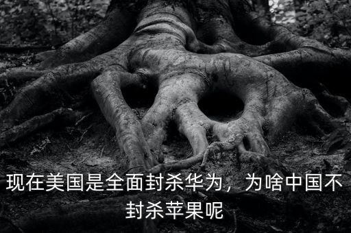 現(xiàn)在美國(guó)是全面封殺華為，為啥中國(guó)不封殺蘋(píng)果呢