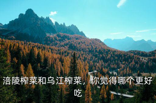 涪陵榨菜和烏江榨菜，你覺(jué)得哪個(gè)更好吃