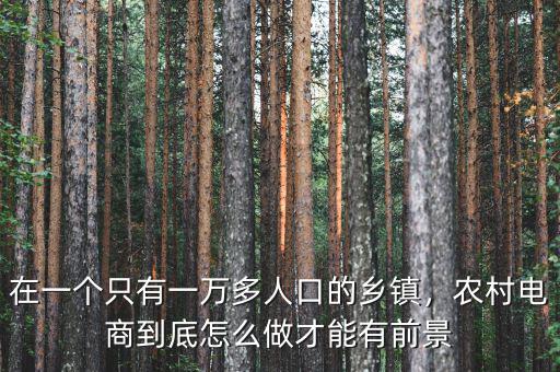 在一個只有一萬多人口的鄉(xiāng)鎮(zhèn)，農村電商到底怎么做才能有前景