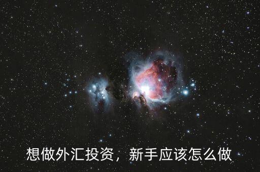 想做外匯投資，新手應(yīng)該怎么做
