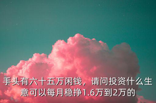 手頭有六十五萬閑錢，請(qǐng)問投資什么生意可以每月穩(wěn)掙1.6萬到2萬的