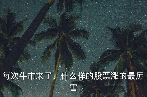 每次牛市來了，什么樣的股票漲的最厲害