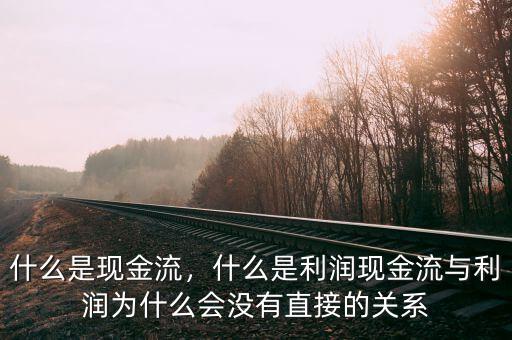 什么是現(xiàn)金流，什么是利潤現(xiàn)金流與利潤為什么會沒有直接的關系