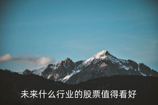 現在買什么行業(yè)的股票好,未來什么行業(yè)的股票值得看好