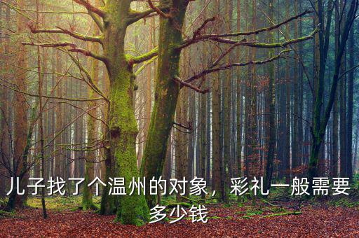 兒子找了個(gè)溫州的對象，彩禮一般需要多少錢