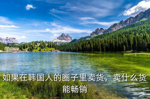 如果在韓國(guó)人的圈子里賣(mài)貨，賣(mài)什么貨能暢銷(xiāo)