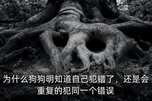 為什么狗狗明知道自己犯錯(cuò)了，還是會(huì)重復(fù)的犯同一個(gè)錯(cuò)誤