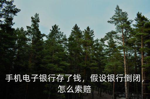 手機(jī)電子銀行存了錢，假設(shè)銀行倒閉，怎么索賠