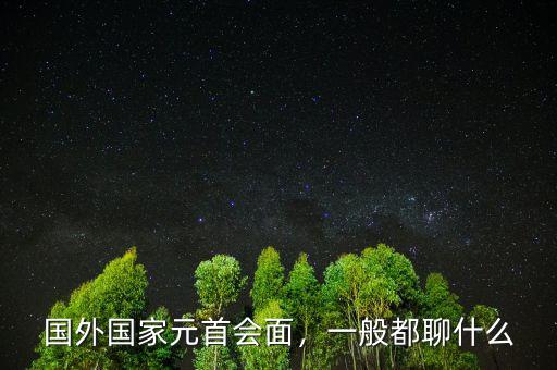 國外國家元首會面，一般都聊什么