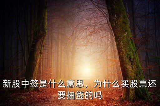 新股中簽是什么意思，為什么買股票還要抽簽的嗎