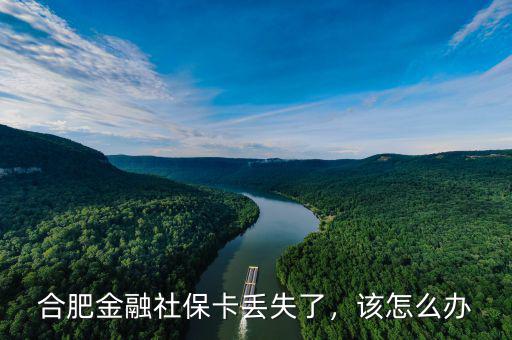 金融社保卡丟了怎么辦,合肥金融社?？▉G失了