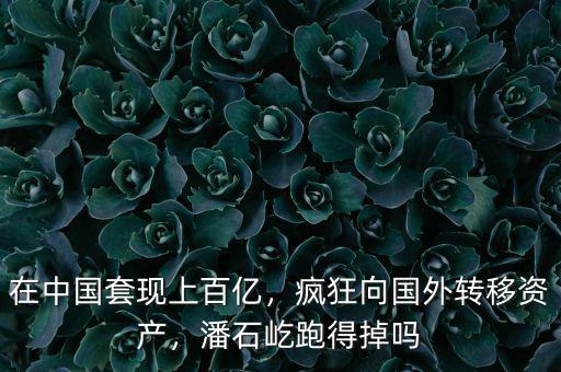 在中國套現(xiàn)上百億，瘋狂向國外轉(zhuǎn)移資產(chǎn)，潘石屹跑得掉嗎