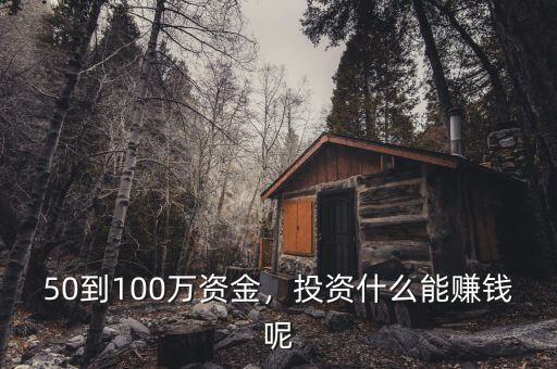 50到100萬資金，投資什么能賺錢呢