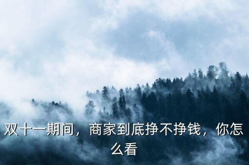 雙十一期間，商家到底掙不掙錢，你怎么看