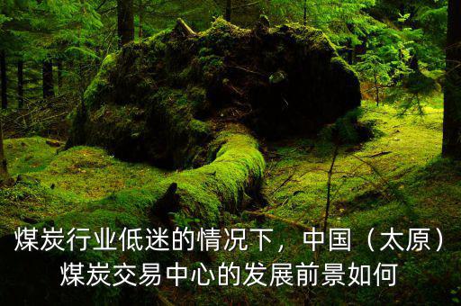 煤炭行業(yè)低迷的情況下，中國（太原）煤炭交易中心的發(fā)展前景如何