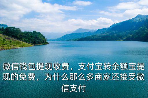 微信錢包提現(xiàn)收費，支付寶轉(zhuǎn)余額寶提現(xiàn)的免費，為什么那么多商家還接受微信支付