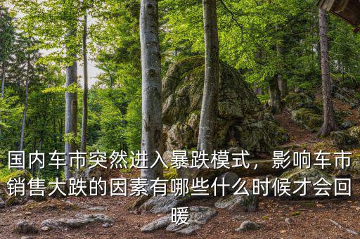國內(nèi)車市突然進(jìn)入暴跌模式，影響車市銷售大跌的因素有哪些什么時(shí)候才會(huì)回暖