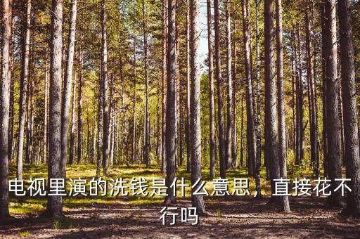 電視里演的洗錢(qián)是什么意思，直接花不行嗎