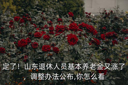 定了！山東退休人員基本養(yǎng)老金又漲了，調(diào)整辦法公布,你怎么看