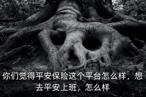 你們覺(jué)得平安保險(xiǎn)這個(gè)平臺(tái)怎么樣，想去平安上班，怎么樣