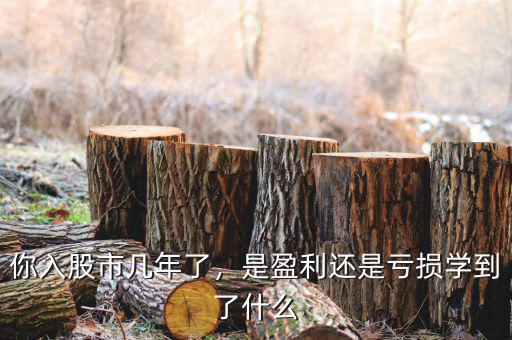 你入股市幾年了，是盈利還是虧損學到了什么