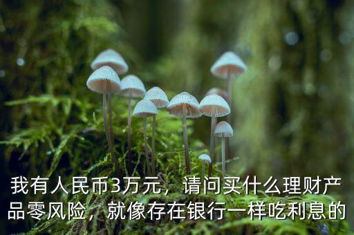 我有人民幣3萬元，請問買什么理財(cái)產(chǎn)品零風(fēng)險(xiǎn)，就像存在銀行一樣吃利息的