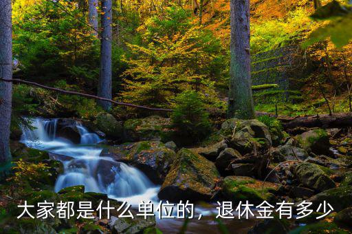大家都是什么單位的，退休金有多少