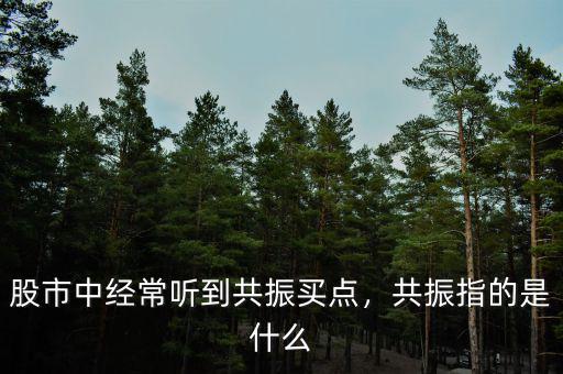 股市中經(jīng)常聽到共振買點(diǎn)，共振指的是什么