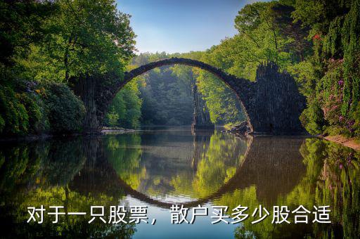 對(duì)于一只股票，散戶買(mǎi)多少股合適