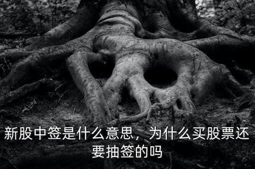 新股中簽是什么意思，為什么買股票還要抽簽的嗎