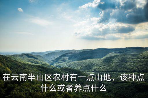 在云南半山區(qū)農(nóng)村有一點(diǎn)山地，該種點(diǎn)什么或者養(yǎng)點(diǎn)什么