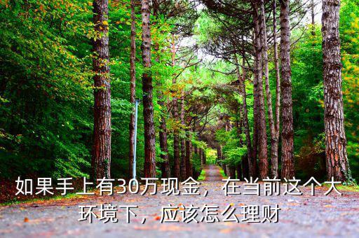 如果手上有30萬現(xiàn)金，在當(dāng)前這個(gè)大環(huán)境下，應(yīng)該怎么理財(cái)