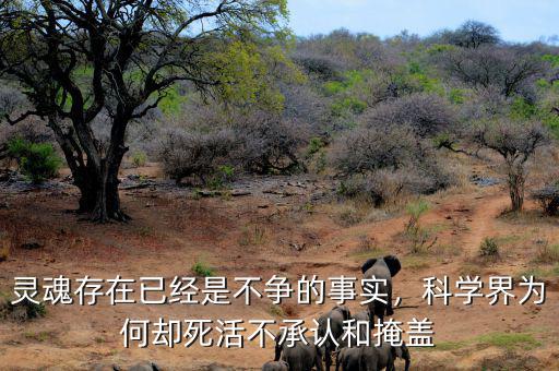 靈魂存在已經(jīng)是不爭(zhēng)的事實(shí)，科學(xué)界為何卻死活不承認(rèn)和掩蓋