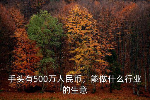 手頭有500萬人民幣，能做什么行業(yè)的生意