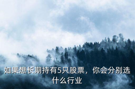 如果想長期持有5只股票，你會(huì)分別選什么行業(yè)