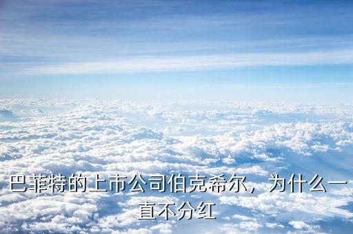巴菲特的上市公司伯克希爾，為什么一直不分紅