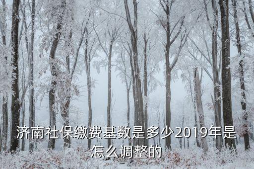 濟(jì)南社?；鶖?shù)怎么算,2019年是怎么調(diào)整的