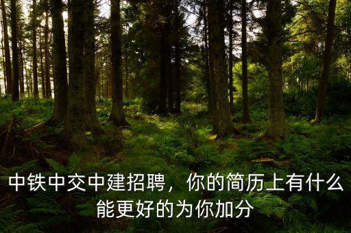中鐵中交中建招聘，你的簡(jiǎn)歷上有什么能更好的為你加分