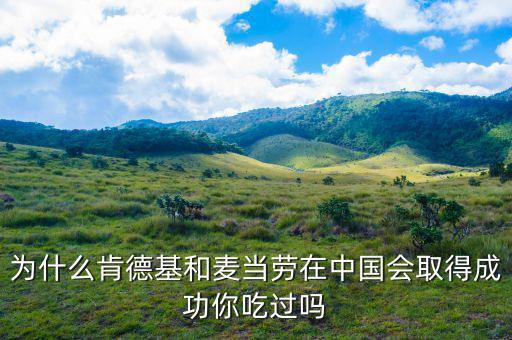 為什么肯德基和麥當(dāng)勞在中國(guó)會(huì)取得成功你吃過嗎