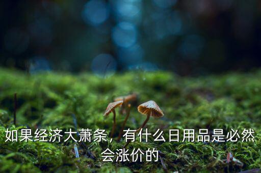 如果經(jīng)濟(jì)大蕭條，有什么日用品是必然會漲價的