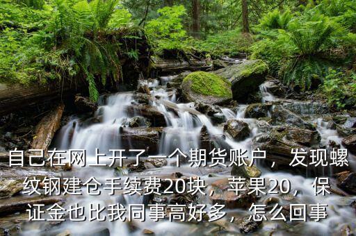 自己在網(wǎng)上開了一個期貨賬戶，發(fā)現(xiàn)螺紋鋼建倉手續(xù)費20塊，蘋果20，保證金也比我同事高好多，怎么回事