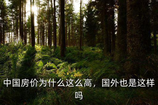 中國房價為什么這么高，國外也是這樣嗎