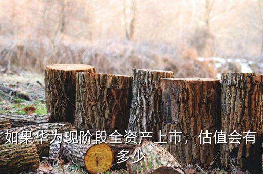 如果華為現(xiàn)階段全資產(chǎn)上市，估值會(huì)有多少