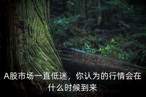 A股市場(chǎng)一直低迷，你認(rèn)為的行情會(huì)在什么時(shí)候到來(lái)