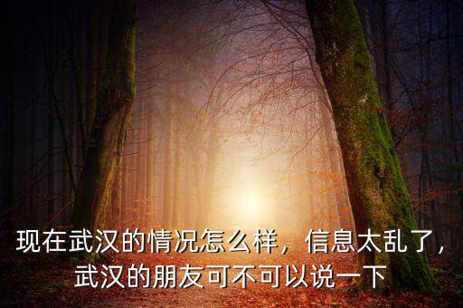 現(xiàn)在武漢的情況怎么樣，信息太亂了，武漢的朋友可不可以說一下