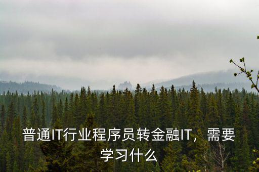 普通IT行業(yè)程序員轉(zhuǎn)金融IT，需要學(xué)習(xí)什么