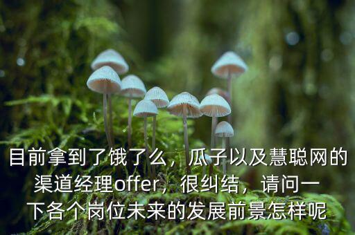 目前拿到了餓了么，瓜子以及慧聰網(wǎng)的渠道經(jīng)理offer，很糾結(jié)，請(qǐng)問(wèn)一下各個(gè)崗位未來(lái)的發(fā)展前景怎樣呢