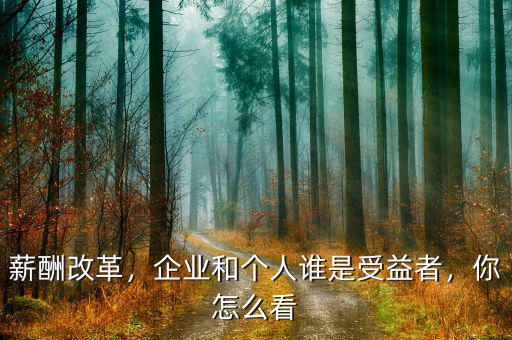 薪酬改革，企業(yè)和個人誰是受益者，你怎么看