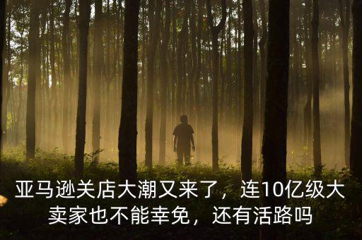 亞馬遜關(guān)店大潮又來了，連10億級(jí)大賣家也不能幸免，還有活路嗎